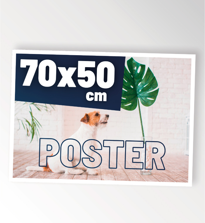 Poster 70x50